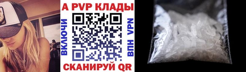 Альфа ПВП СК КРИС  блэк спрут ссылки  Анива 