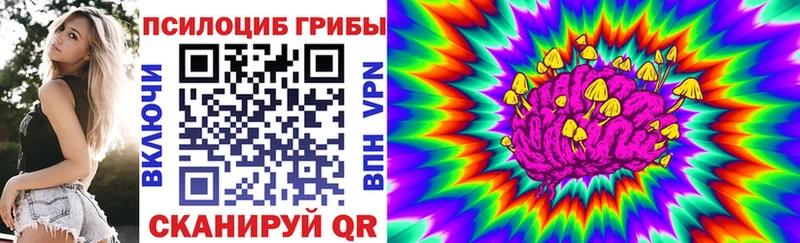 наркотики  Анива  Псилоцибиновые грибы Cubensis 